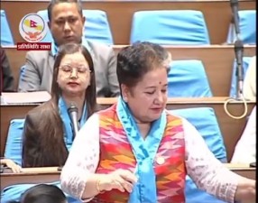 भिजिट भिसा प्रकरणले सदनको कारबाही अवरुद्ध, नाराबाजी भएपनि बैठक आधाघण्टाका लागि स्थगित